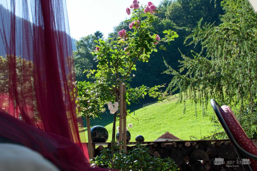 B&B Haus Zur Krone Oberriet Exteriér fotografie